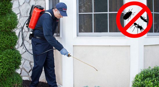 Güçlükonak Hamam Böceği İlaçlama böcek ilaçlama ve haşere kontrolü — ilaclama-tr.com